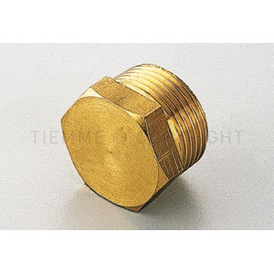 Заглушка із зовнішньою різьбою Tiemme 1" ( 1500077 )